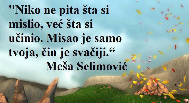 Meša Selimović 10107110