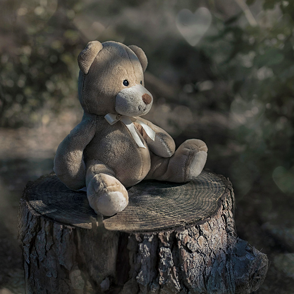 My teddy bear - Page 49 20604611
