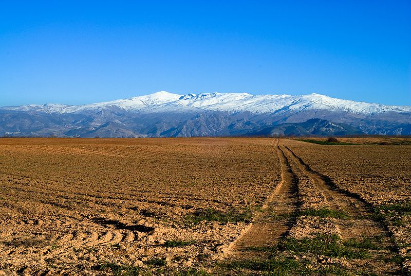 Sierra Nevada nacionalni park 800px-15
