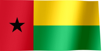 Gvineja Bisau Flag_o80