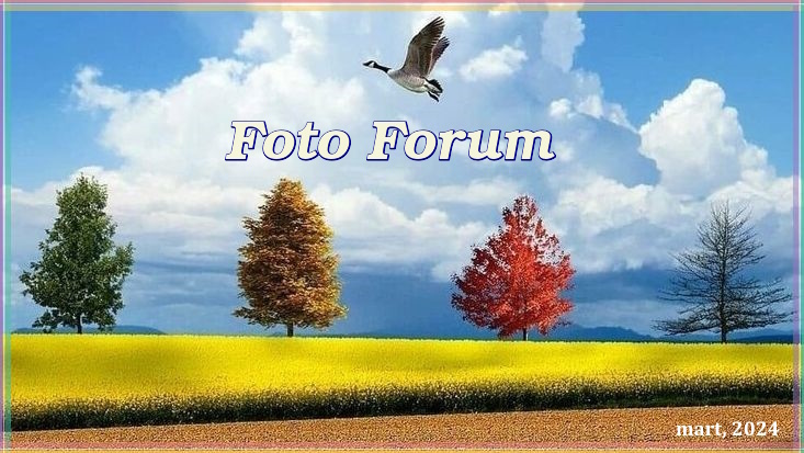Foto-forum u slici - Page 11 Oie_a110