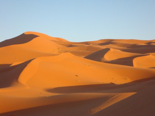 Sahara          Sahara10