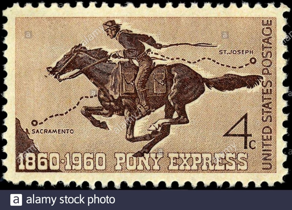 Temática Western  Pony-e10