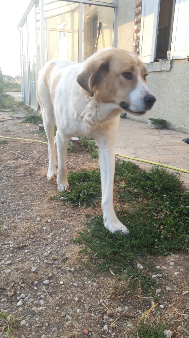 CHORUMA jeune et belle matin - ESPAGNE 10983610