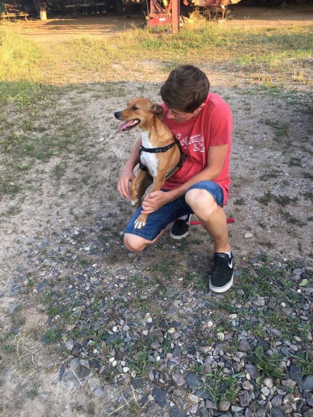 ROXIE petite chiot dans un cimetière - en pension dans le 28 - Page 2 37689811