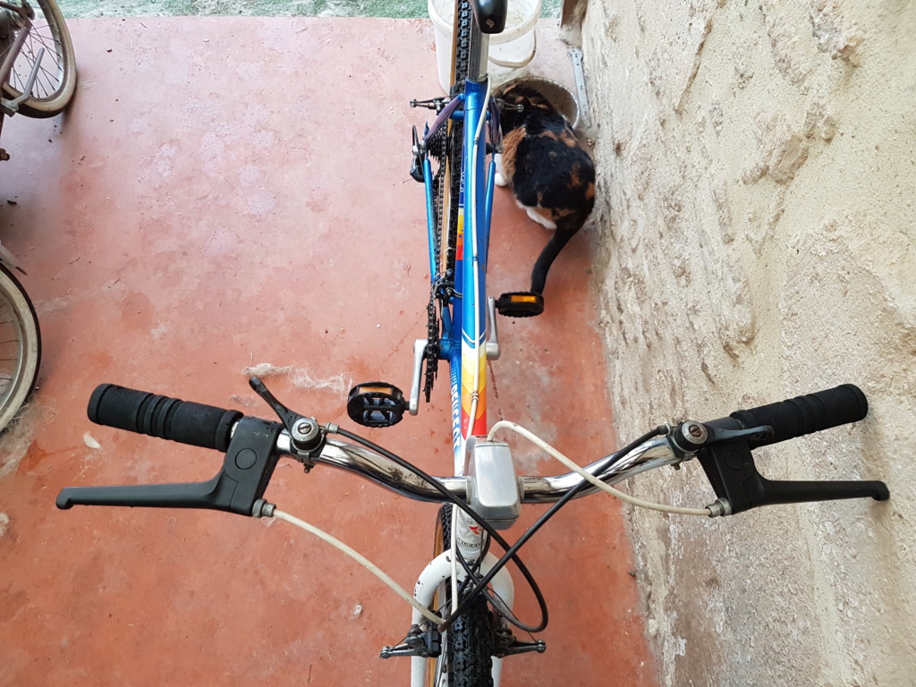 peugeot - VTT Peugeot FUN 1987 (HB) 20181016