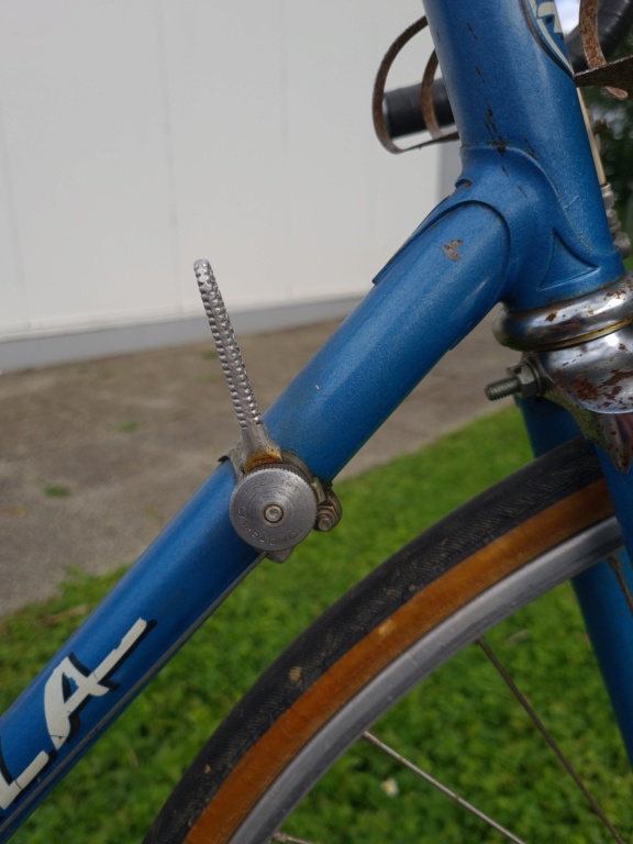 Atala 20230830