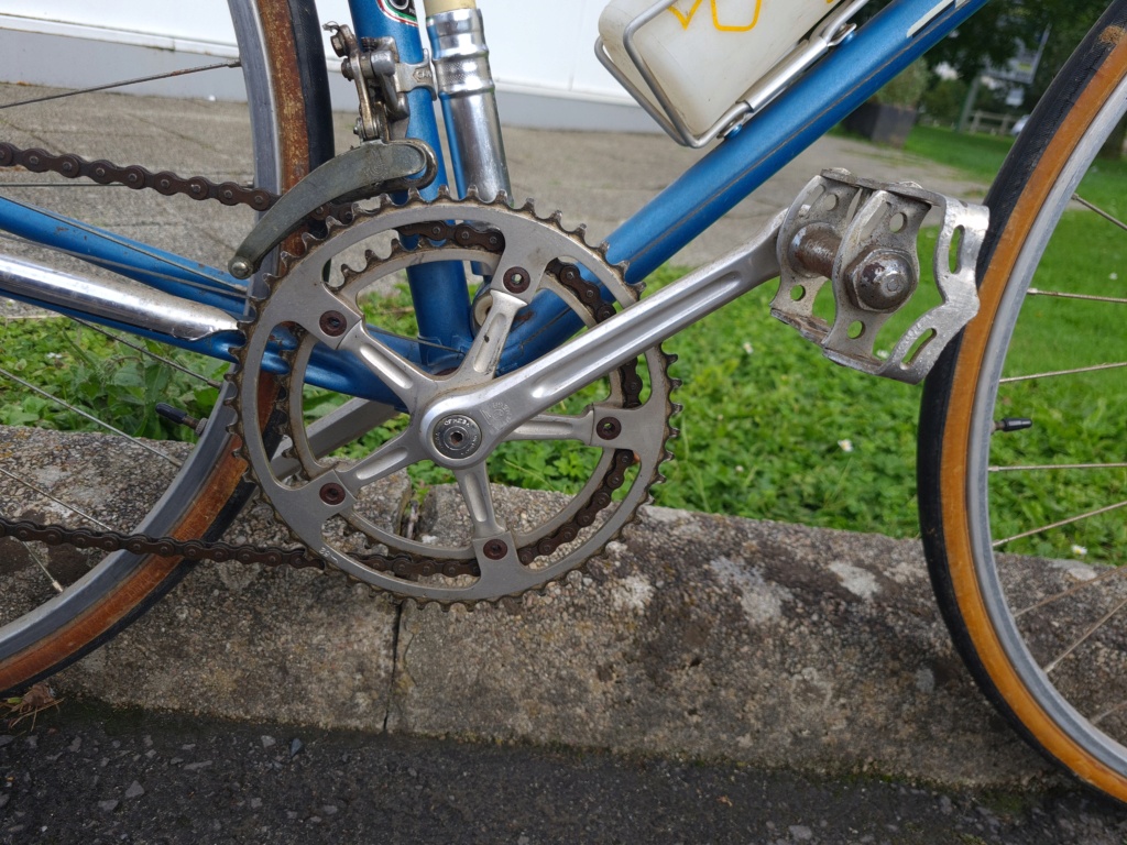 Atala 20230831