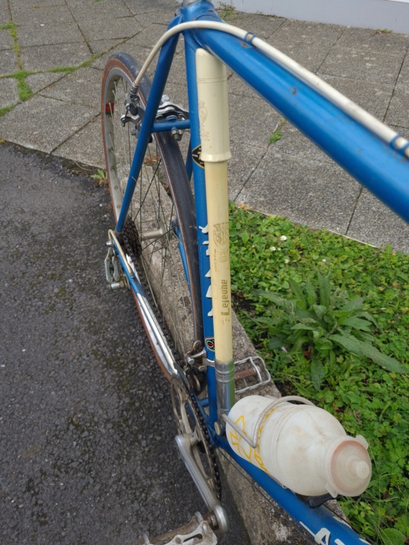 Atala 20230838