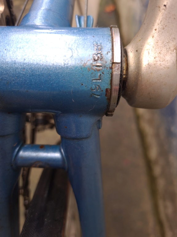 Atala 20230842