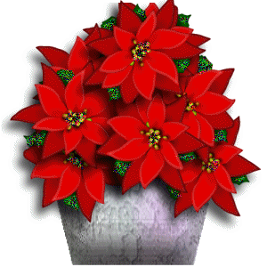LA FLOR DE PASCUA Y SU HISTORIA  Pocos símbolos hay más propios de la Navidad que esta planta de color rojo intenso que vemos en toda suerte de decoraciones. Ya también la han logrado de otros colores Florna10