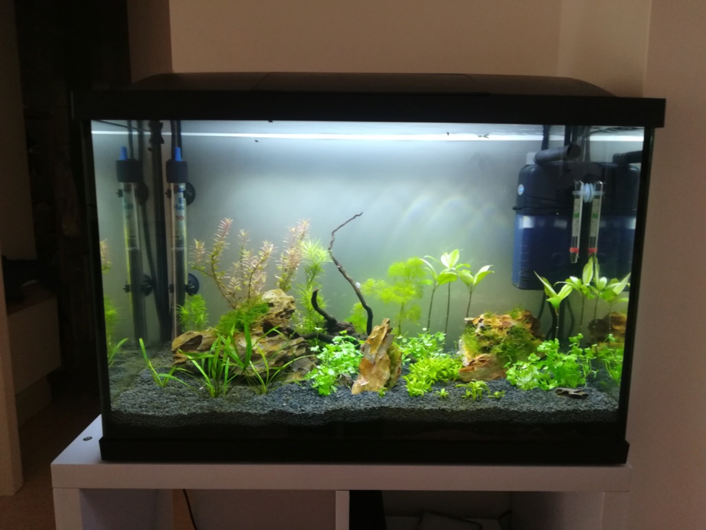 70L premier aquarium Img_2015