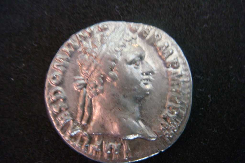 Denario de Domiciano.  IMP XXII COS XVI CENS P P. Minerva estante a dcha. Roma. Dsc04511