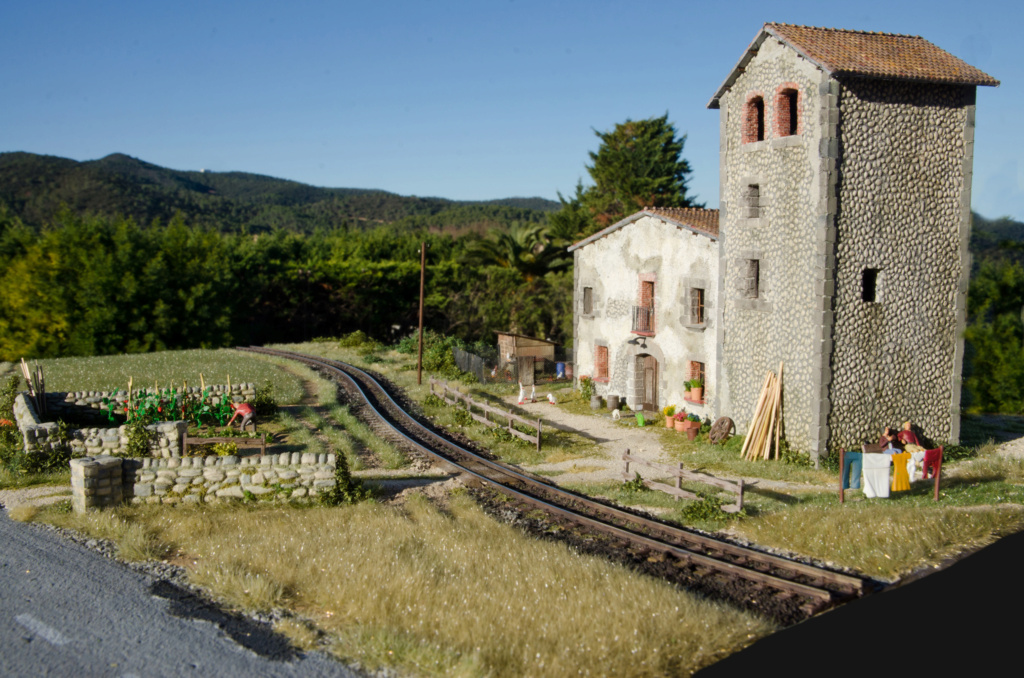 Maqueta del tren d'olot H0m - Página 11 1417