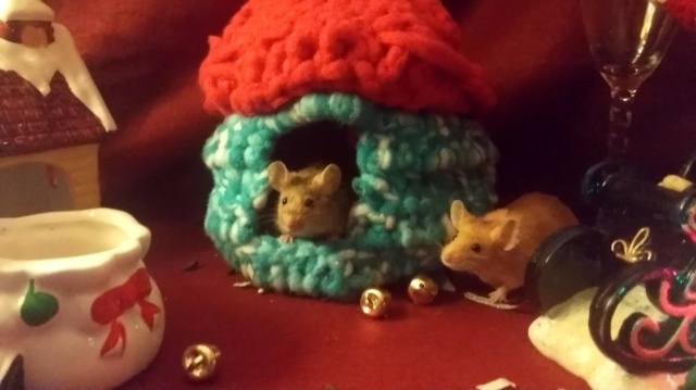 Hamster Haven Metro Ac8c3910