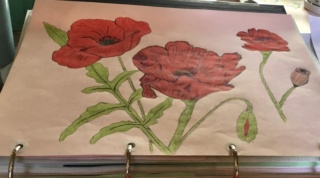 Les coquelicots D7773510