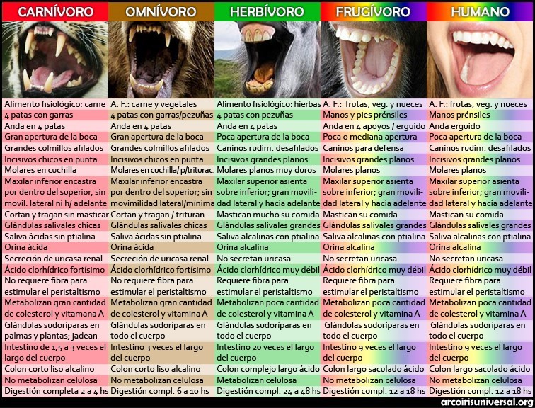 NUTRICIÓN EN ANIMALES Nutric11