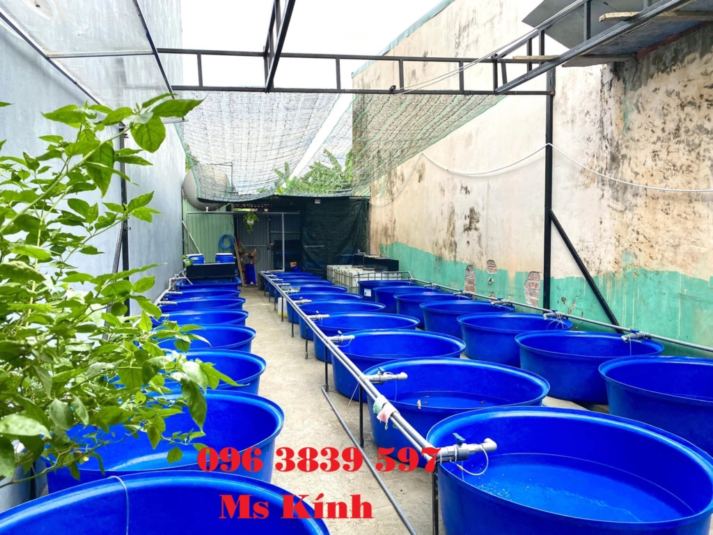 Cung cấp thùng nhựa tròn nuôi cá, chậu nhựa trồng cây - 096 3839 597 Ms Kính Thzng_12