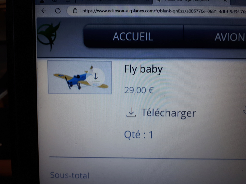 Eclipson Fly baby 20240313