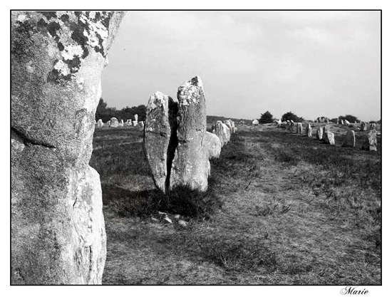 Désert de Menhirs Dscn0713