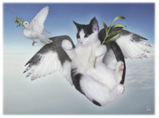 Choupi ne va pas bien :o( - Page 3 Cat_an10