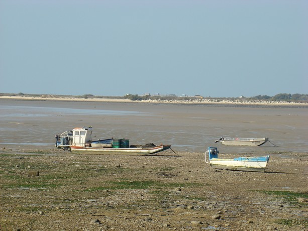 balade  au bord de mer Dsc04738