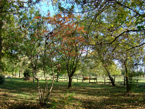 la charente Dsc05458