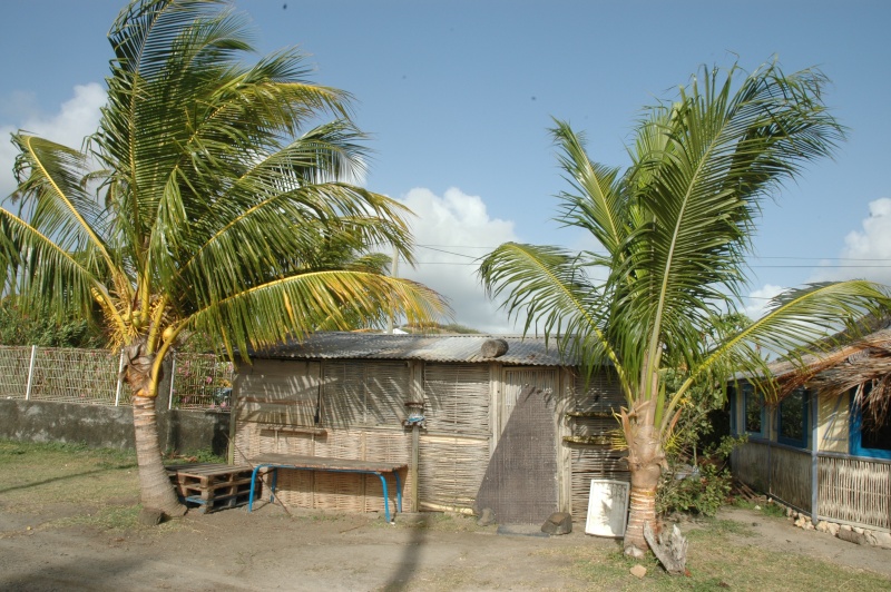 Mes Wacances à la Martinique Martin10