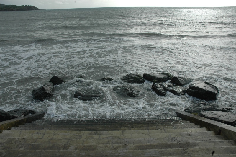 Mes Wacances à la Martinique Martin13