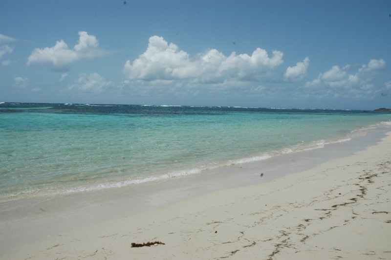 Mes Wacances à la Martinique Martin22