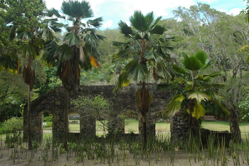 Mes Wacances à la Martinique Martin74