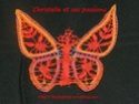 papillon bien coloré (attention Zizou prépare le coussin pour tes fesses) Papill10