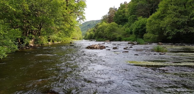 Compte rendu sortie Cantal 2019 Truyzo15