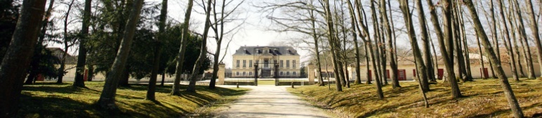 Le vignoble du Pessac Leognan Chatea10