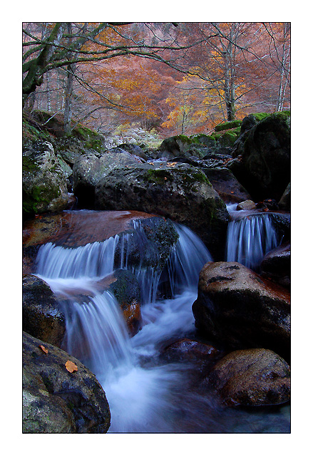 Histoire d'eau... + Ajout 158bis10