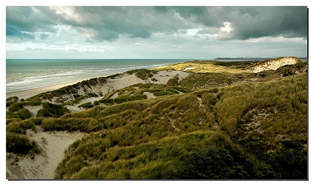 Baie de Somme 07111113