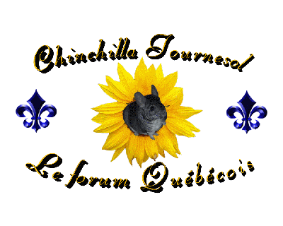 Les autres forums et sites Logo_c12