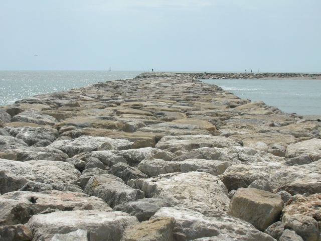 PETITE SORTIE EN CAMARGUE Dscn2024