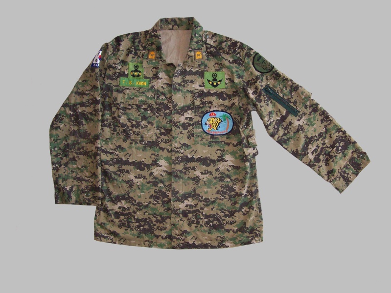 ROK Special Forces Digital uniform 100_0210