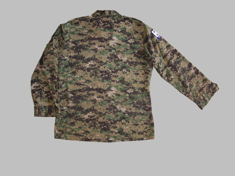 ROK Special Forces Digital uniform 100_0211