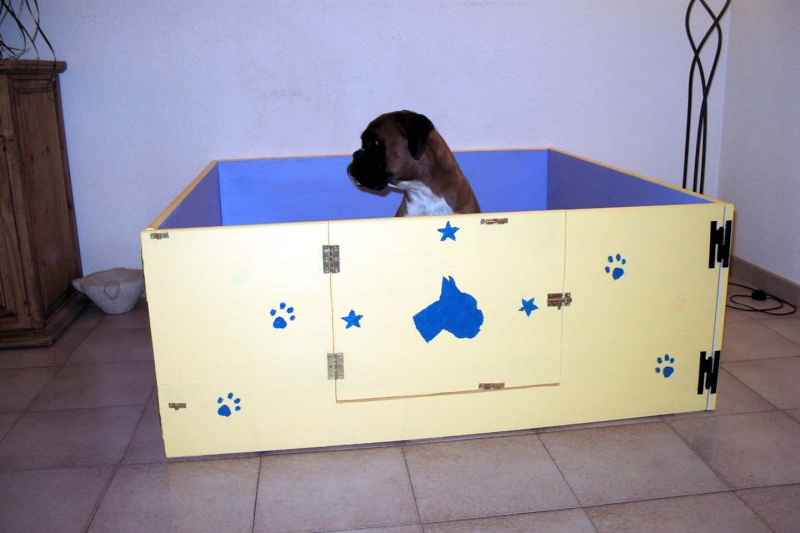 Caisse De Mise Bas Materiel Pour Boxer Lequel Choisir Nimo
