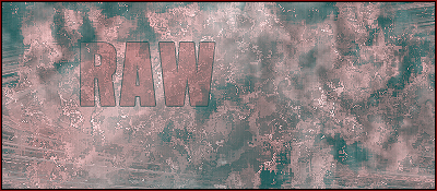 [ Carte de Raw : 18/11/07] Raw10