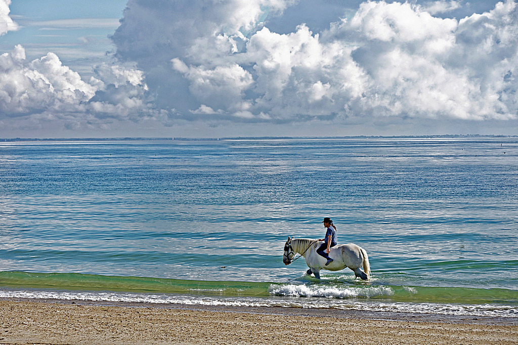 I'm a poor lonely cowboy at sea _dsc5113