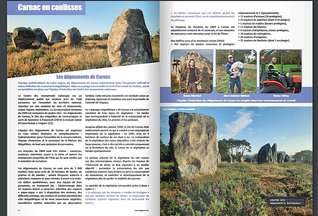 Les tondeuses à pattes des Mégalithes de Carnac ! Captur19