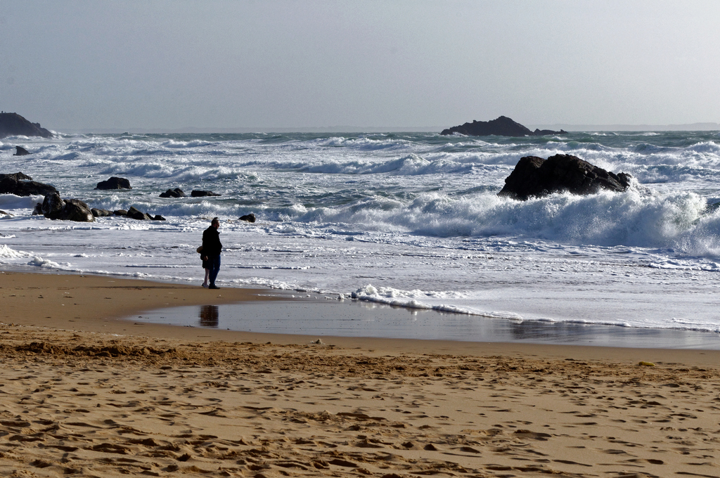 Détente familiale au bord de la mer ! Dsc_0118