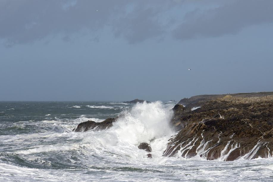 Nouvelle lessive maritime ! Dsc_0141