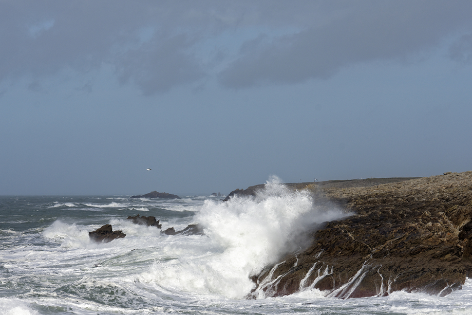 Nouvelle lessive maritime ! Dsc_0142