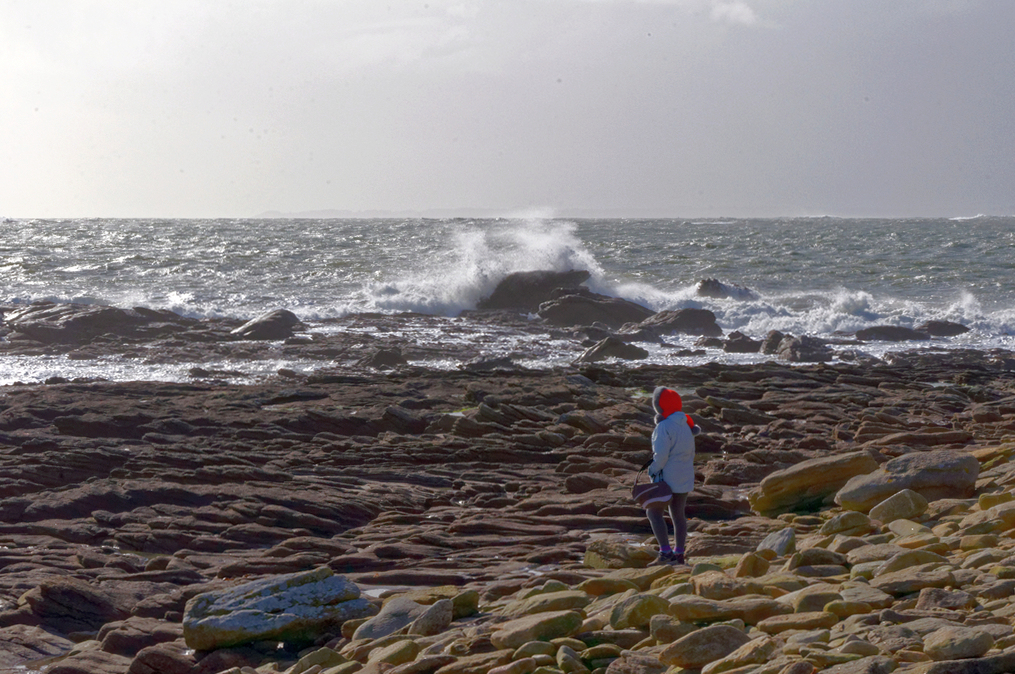 Face à la mer ! Dsc_0202