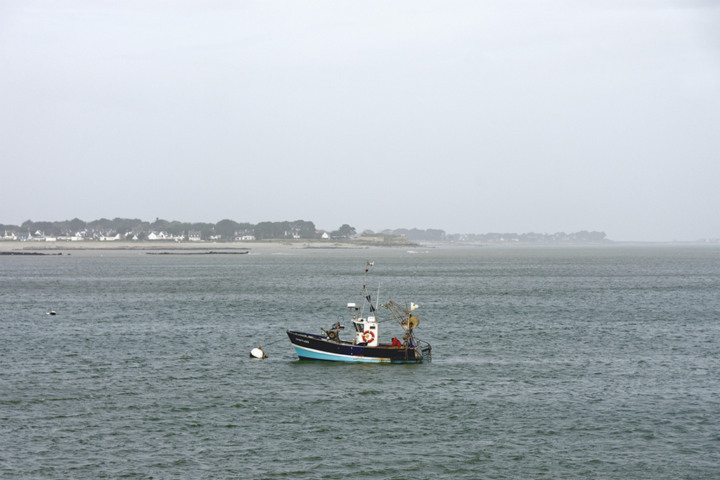 En pêche ! Dsc_0418