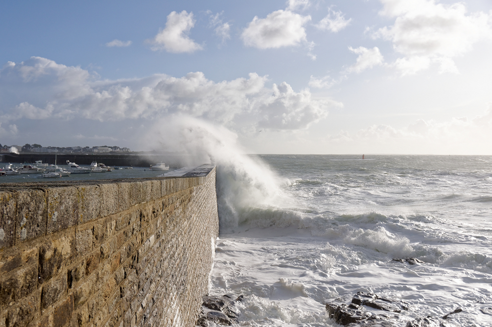 Le "lait" de la mer ! Dsc_2118